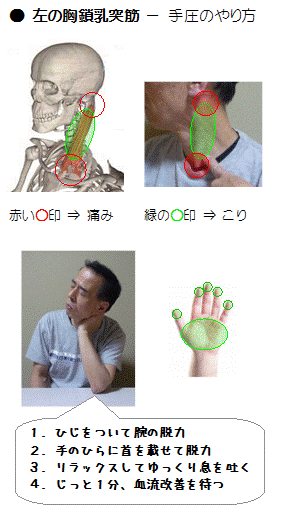 手圧のやり方(胸鎖乳突筋)